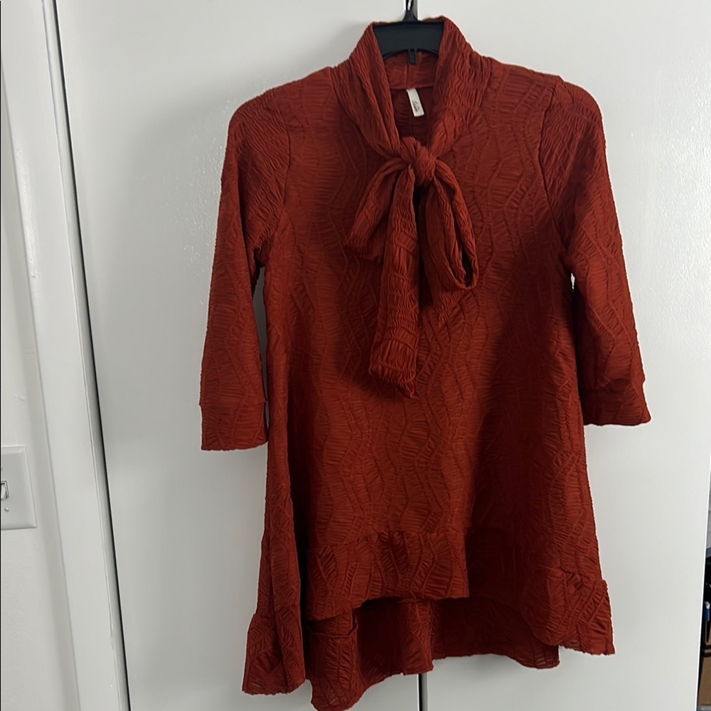 Celeste Burnt orange top Medium